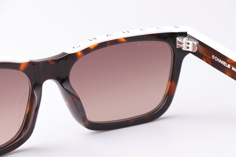 CH5417 Sunglasses Tortoise White Gradient Brown