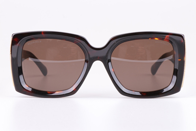 CH5435 Sunglasses Tortoise Brown