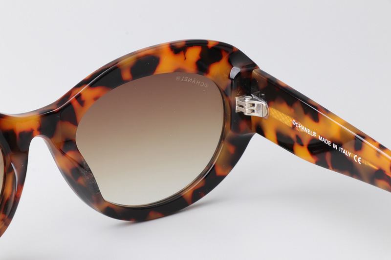 CH5469 Sunglasses Tortoise Gradient Brown