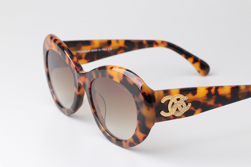 CH5469 Sunglasses Tortoise Gradient Brown