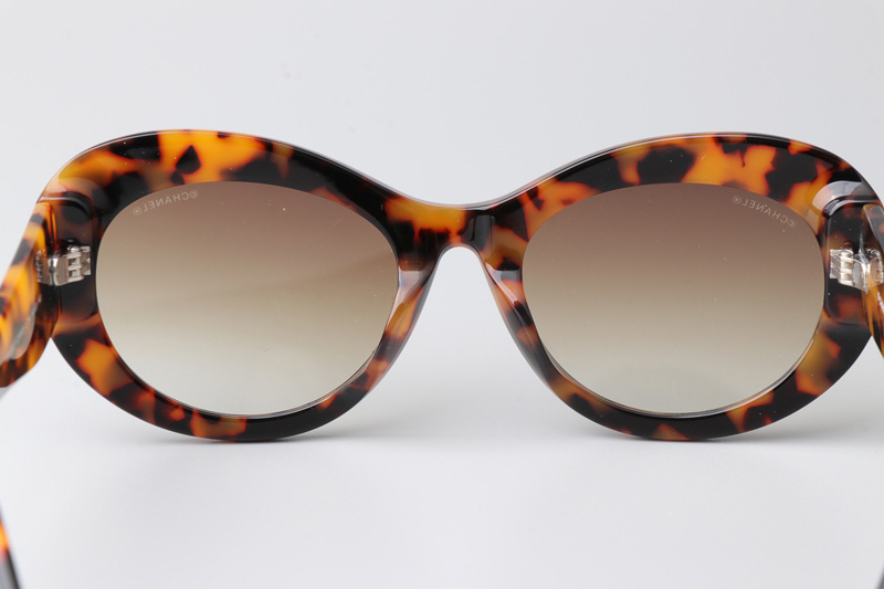 CH5469 Sunglasses Tortoise Gradient Brown