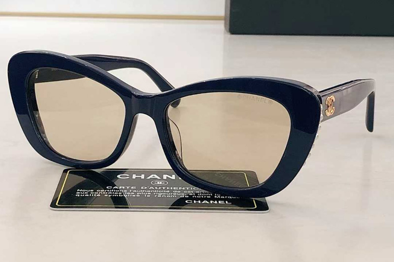 CH5481H Sunglasses Blue Light Brown