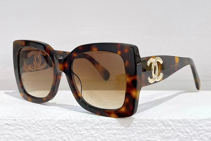 CH5494 Sunglasses In Tortoise Gold