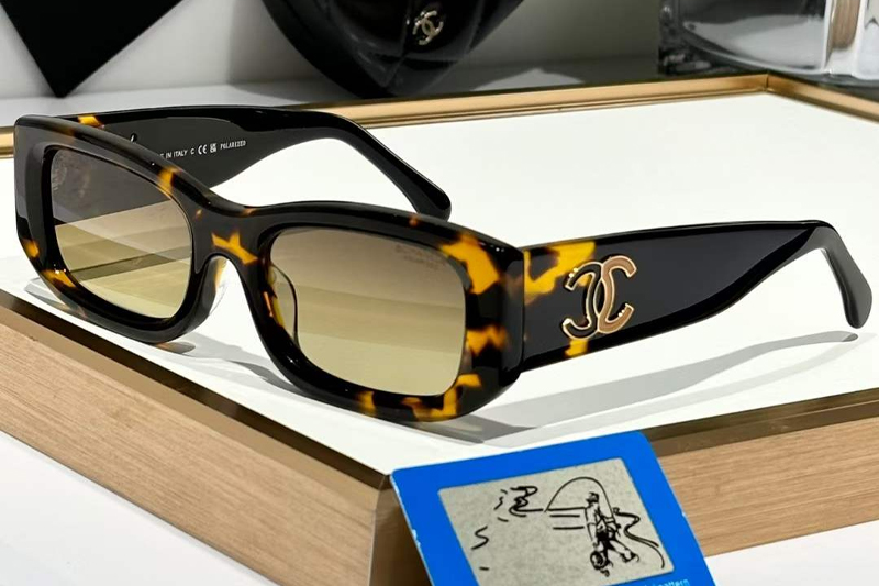 CH5525 Sunglasses Tortoise Black Gradient Brown