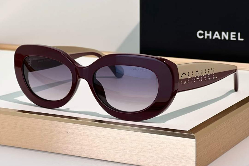 CH5562B Sunglasses Wine Gradient Gray