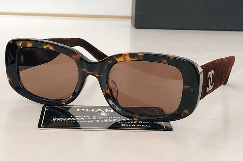 CH6067 Sunglasses Tortoise Brown