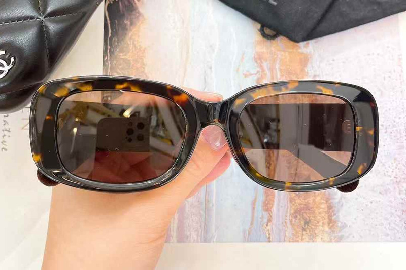CH6067 Sunglasses Tortoise Brown