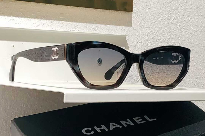 CH6077S Sunglasses Gray Tortoise Gradient Brown