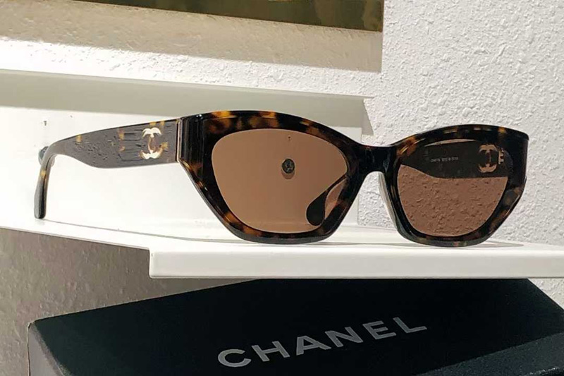 CH6077S Sunglasses Tortoise Brown