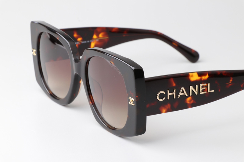 CH6560Q Sunglasses Tortoise Gradient Brown