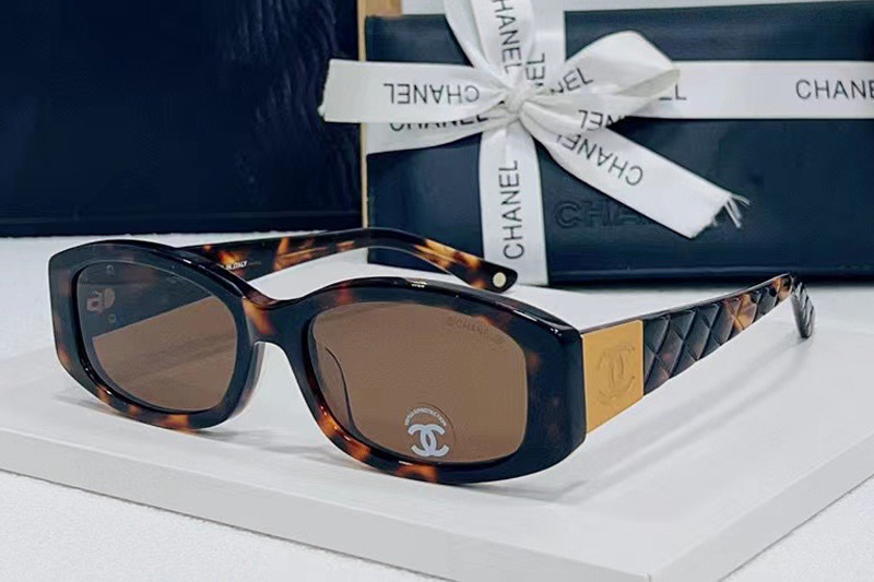 CH74573S Sunglasses In Tortoise Gold