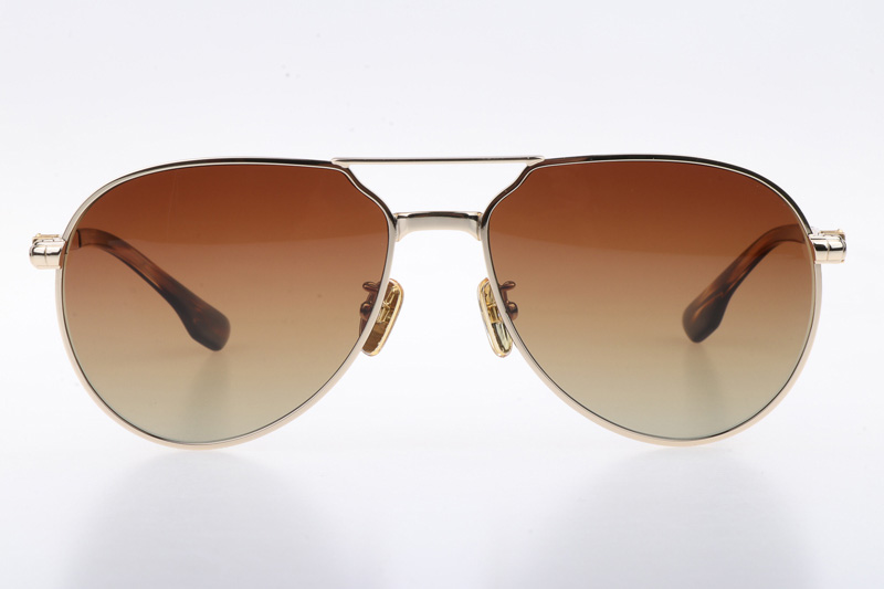 CH8123 Sunglasses Gold Gradient Brown