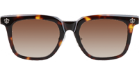 CH8127 Sunglasses Tortoise Gradient Brown