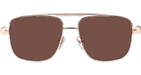 CH8180 Sunglasses Gold Brown