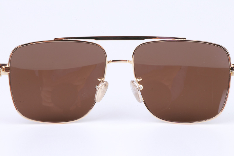 CH8180 Sunglasses Gold Brown