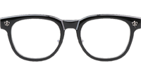 CH8199 Eyeglasses Black Silver