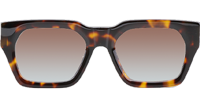 CH8217 Polarized Sunglasses Tortoise Gradient Brown