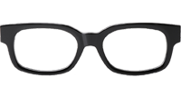 CH8233 Eyeglasses Black Silver
