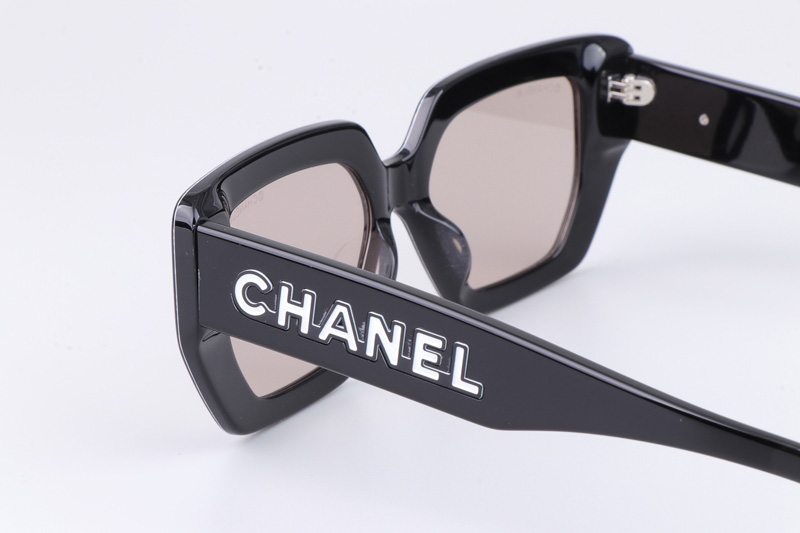 CH8912S Sunglasses Purple Black Light Brown