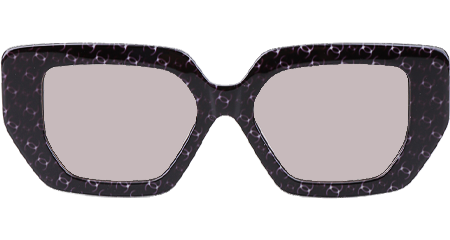 CH8912S Sunglasses Purple Black Light Brown