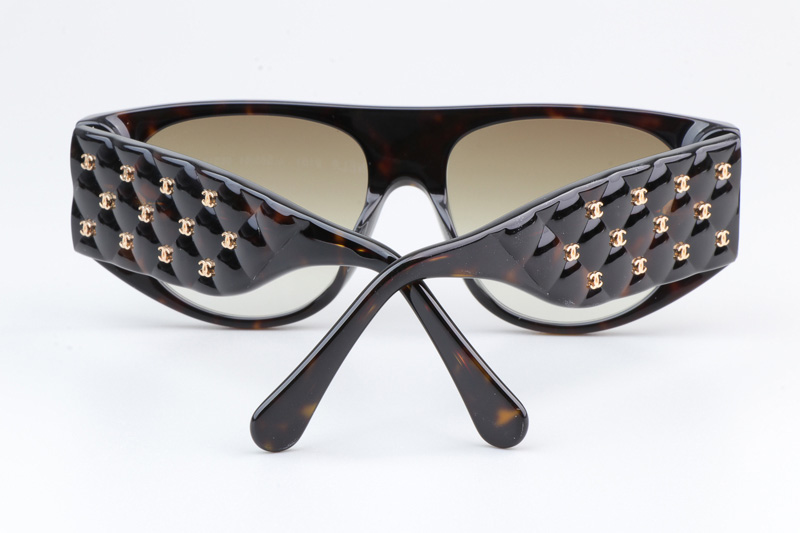 CH9101 Sunglasses Tortoise Gradient Brown