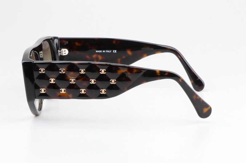 CH9101 Sunglasses Tortoise Gradient Brown