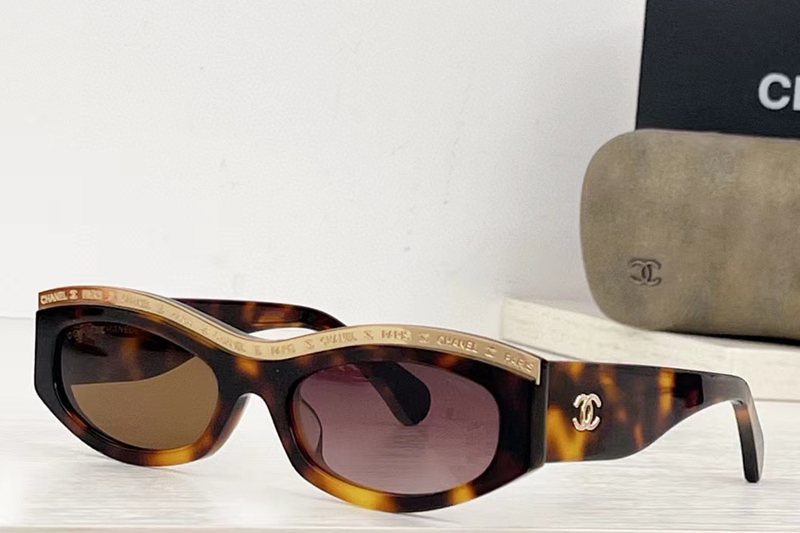 CH9112 Sunglasses In Tortoise Gold