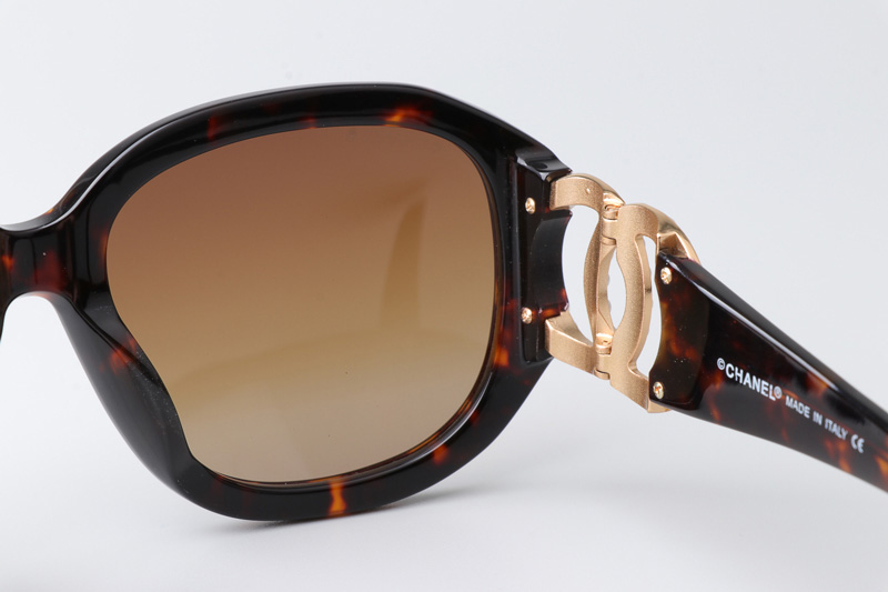 CH9116 Sunglasses Tortoise Gradient Brown