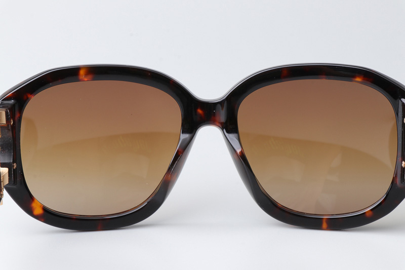 CH9116 Sunglasses Tortoise Gradient Brown