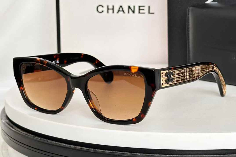 CH9131 Sunglasses Tortoise Gradient Brown