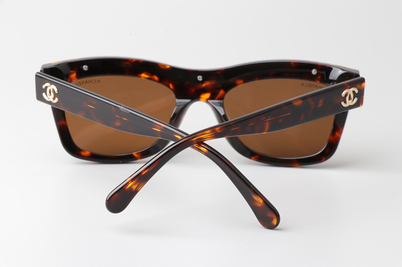 CH9143 Sunglasses Tortoise Brown
