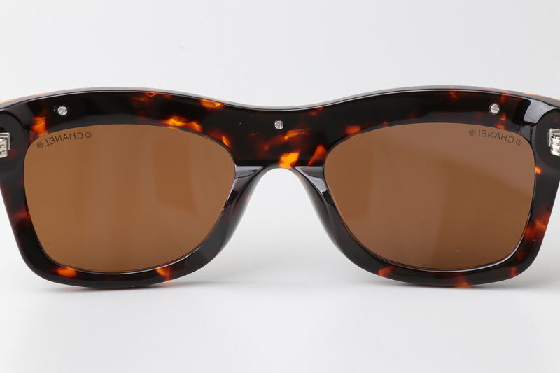 CH9143 Sunglasses Tortoise Brown