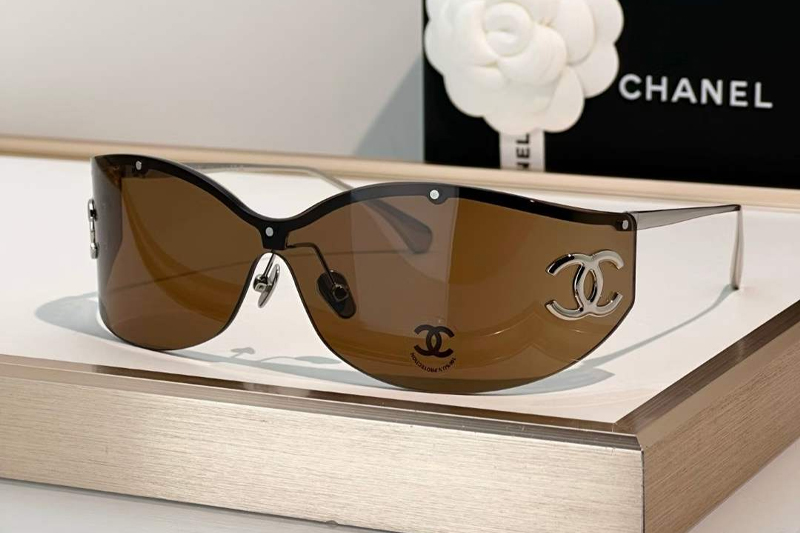 CH9582 Sunglasses Silver Brown