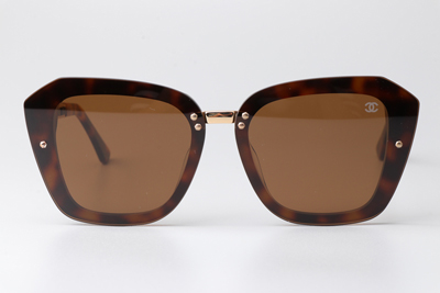 CHA95050 Sunglasses Tortoise Brown