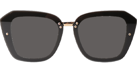 CHA95050 Sunglasses White Gray