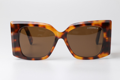 CHA95066 Sunglasses Tortoise Brown