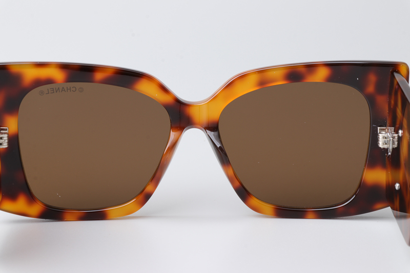 CHA95066 Sunglasses Tortoise Brown