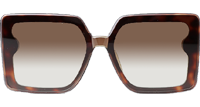 CHA95069 Sunglasses Tortoise Gold Gradient Brown
