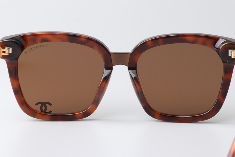 CHA95078 Sunglasses Tortoise Brown