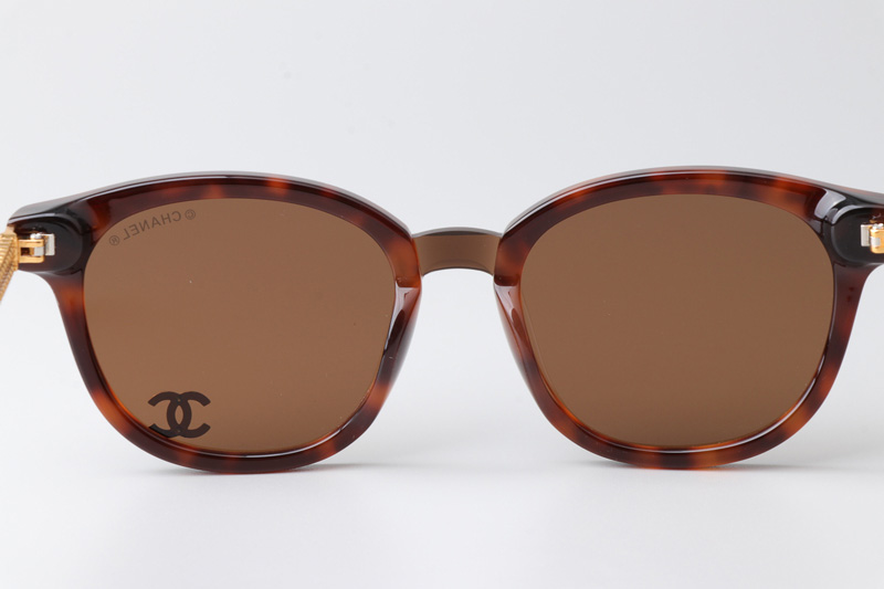 CHA95079 Sunglasses Tortoise Brown