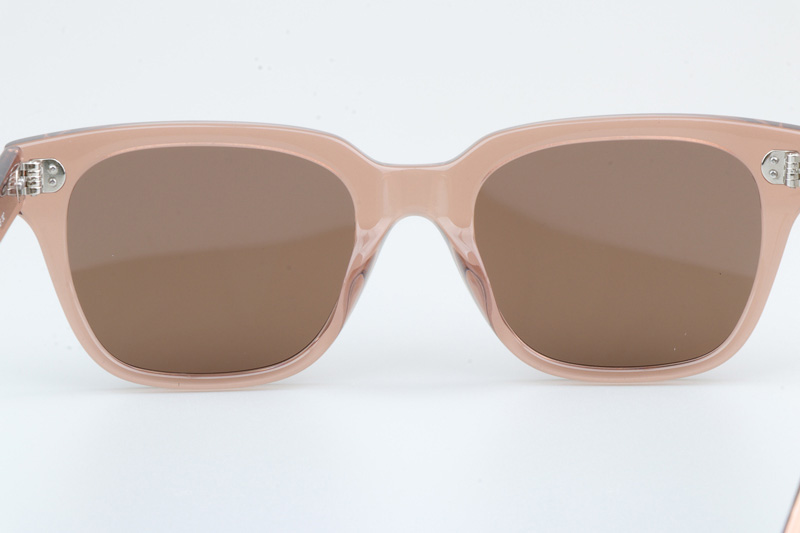 CL40061 Sunglasses Brown Brown