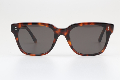 CL40061 Sunglasses Tortoise Gray