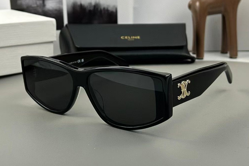 CL40227 Sunglasses In Black