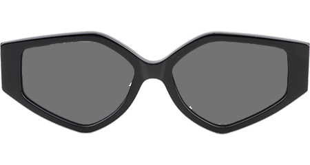 CL40229F Sunglasses Black Gray