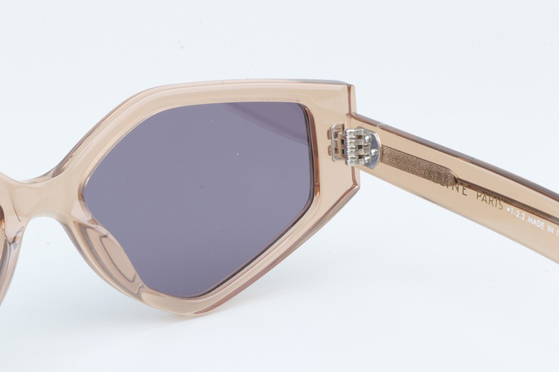 CL40229F Sunglasses Transparent Brown Purple