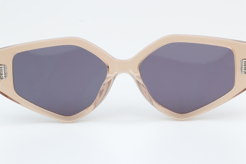CL40229F Sunglasses Transparent Brown Purple