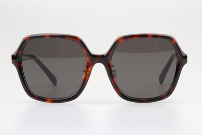 CL40230F Sunglasses Tortoise Gray