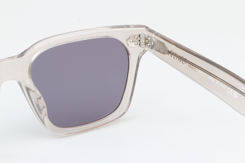 CL40248I Sunglasses Transparent Brown Purple