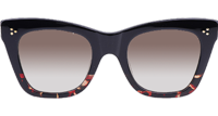 CL4S004 Sunglasses In Black Tortoise Gradient Brown
