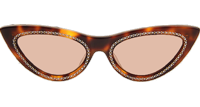 CL4S019 Sunglasses In Tortoise Brown